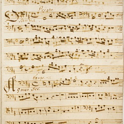 A 49, G.J. Werner, Missa festivalis Laetatus sum, Violone-7.jpg