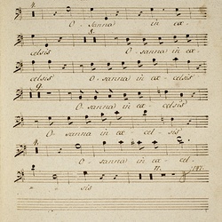 A 143, M. Haydn, Missa in D, Basso conc.-23.jpg