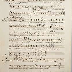 A 184, J.B. Schiedermayr, Missa in G, Basso-6.jpg
