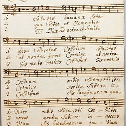 M 11, G.J. Werner, Salutis humanae, Basso-1.jpg