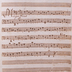 G 77, G.J. Werner, Vesperae brevissima, Violone-3.jpg
