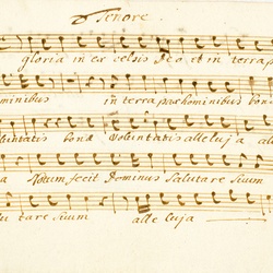 F 21, F. Novotny, Gloria in excelsis deo, Tenore-1.jpg