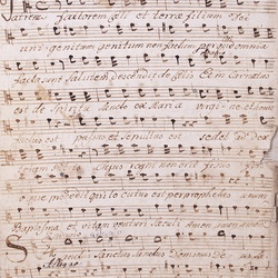 A 1, M. Haydn, Missa, Tenore-11.jpg