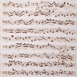 A 81, G.J. Werner, Missa festivalis in honorem divi peregrini, Violone-4.jpg