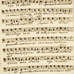 F 29, M. Haydn, Omnes amici mei, Tenore-3.jpg