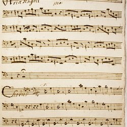 E 33, G.J. Werner, Pastorella da Cantarsi, Violone-3.jpg