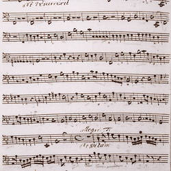 A 65, G.J. Werner, Missa solitudinis, Violone-4.jpg