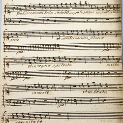B 81, F. Gassmann, Post dira mundi bella sedebit, Violone-1.jpg