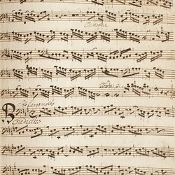 A 110, F. Novotni, Missa Purificationis Mariae, Violone-11.jpg