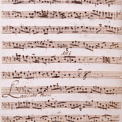 G 80, G.J. Werner, Vesperae breves, Violone-1.jpg