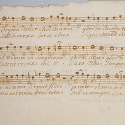 F 11, Anonymus, Exaudi nos domine, Alto-3.jpg