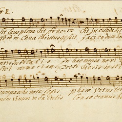 F 24, Anonymus, Lauda Sion salvatorem, Alto-3.jpg