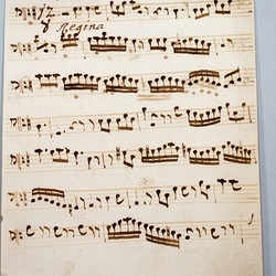 J 16, G.J. Werner, Regina coeli, Violone-1.jpg