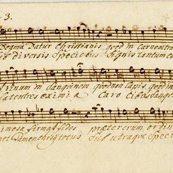 F 24, Anonymus, Lauda Sion salvatorem, Alto-4.jpg