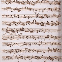 A 81, G.J. Werner, Missa festivalis in honorem divi peregrini, Violone-1.jpg