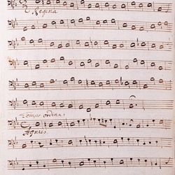 G 104, G.J. Werner, Lauretanische Litanei, Violone-3.jpg