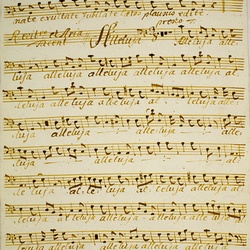 B 13, Ch. Sonnleithner, Exultate iubilate, Basso-2.jpg