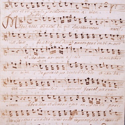 G 79, G.J. Werner, Vesperae de B.M.V., Alto-4.jpg