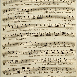 B 29, F.X. Brixi, Non flectent meum animum, Soprano II-1.jpg
