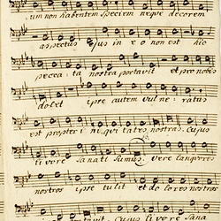 F 28, M. Haydn, In monte Oliveti, Basso-3.jpg