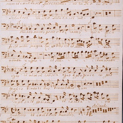 G 81, G.J. Werner, Magnificat, Basso-1.jpg