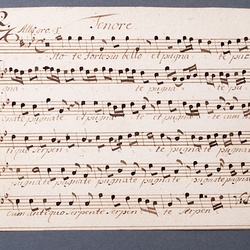 B 44, G.J. Werner, Estote fortes in bello, Tenore-1.jpg