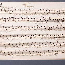 B 44, G.J. Werner, Estote fortes in bello, Tenore-1.jpg
