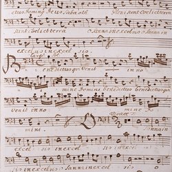 A 81, G.J. Werner, Missa festivalis in honorem divi peregrini, Basso-5.jpg