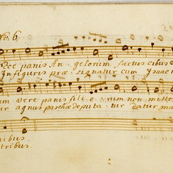 F 24, Anonymus, Lauda Sion salvatorem, Basso-25.jpg