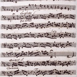 A 67, G.J. Werner, Missa mixta, Violone-2.jpg