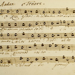 B 24, A. Zimmermann, Rex gloriae domine virtutum, Tenore-3.jpg