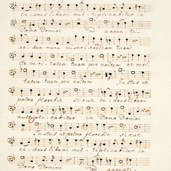 B 218, M. Haydn, Justus ut palma florebit, Basso-1.jpg