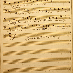 G 97, G.J. Werner, Lamentation zum Karfreitag, Tenore-4.jpg