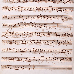 G 74, G.J. Werner, Vesperae, Violone-2.jpg