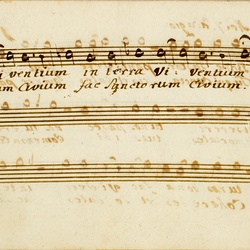 F 24, Anonymus, Lauda Sion salvatorem, Tenore-18.jpg