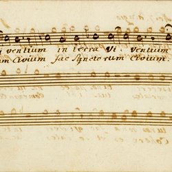 F 24, Anonymus, Lauda Sion salvatorem, Tenore-18.jpg