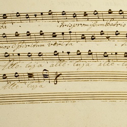 B 24, A. Zimmermann, Rex gloriae domine virtutum, Tenore-4.jpg