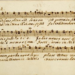 F 24, Anonymus, Lauda Sion salvatorem, Alto-21.jpg