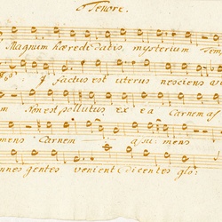 F 20, F. Novotny, Magnum haereditatis mysterium, Tenore-1.jpg