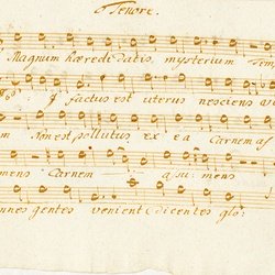 F 20, F. Novotny, Magnum haereditatis mysterium, Tenore-1.jpg