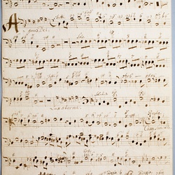 D 11, G.J. Werner, Requiem, Organo o Violone-4.jpg
