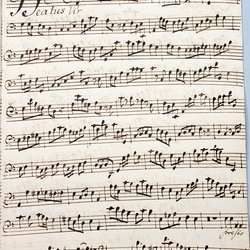 G 47, F. Schmidt, Vesperae de Confessore, Violoncello-3.jpg