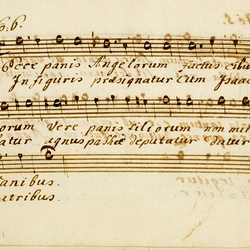 F 24, Anonymus, Lauda Sion salvatorem, Alto-25.jpg