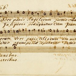 F 24, Anonymus, Lauda Sion salvatorem, Alto-25.jpg