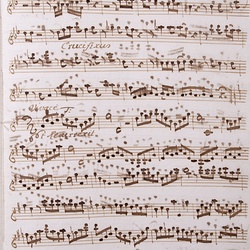 A 81, G.J. Werner, Missa festivalis in honorem divi peregrini, Violino I-5.jpg