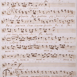 A 81, G.J. Werner, Missa festivalis in honorem divi peregrini, Alto-3.jpg