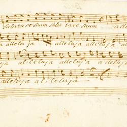F 21, F. Novotny, Gloria in excelsis deo, Basso-2.jpg