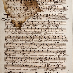 D 23, M. Haydn, Requiem, Soprano-2.jpg