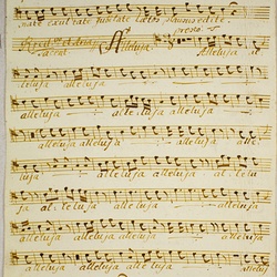 B 13, Ch. Sonnleithner, Exultate iubilate, Tenore conc.-2.jpg