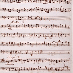 G 105, G.J. Werner, Lauretanische Litanei, Violone-2.jpg